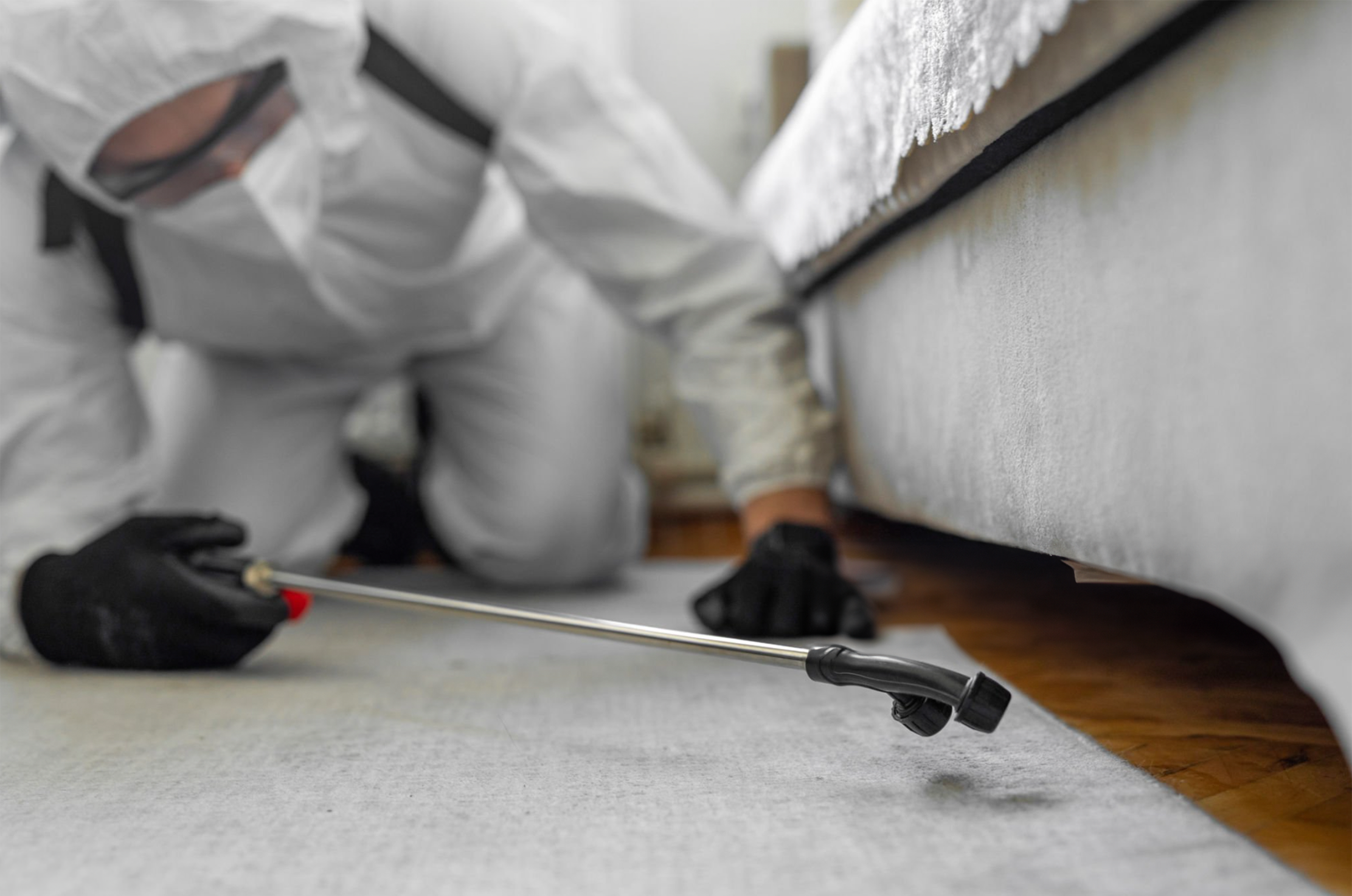 Rodent Control Hacks