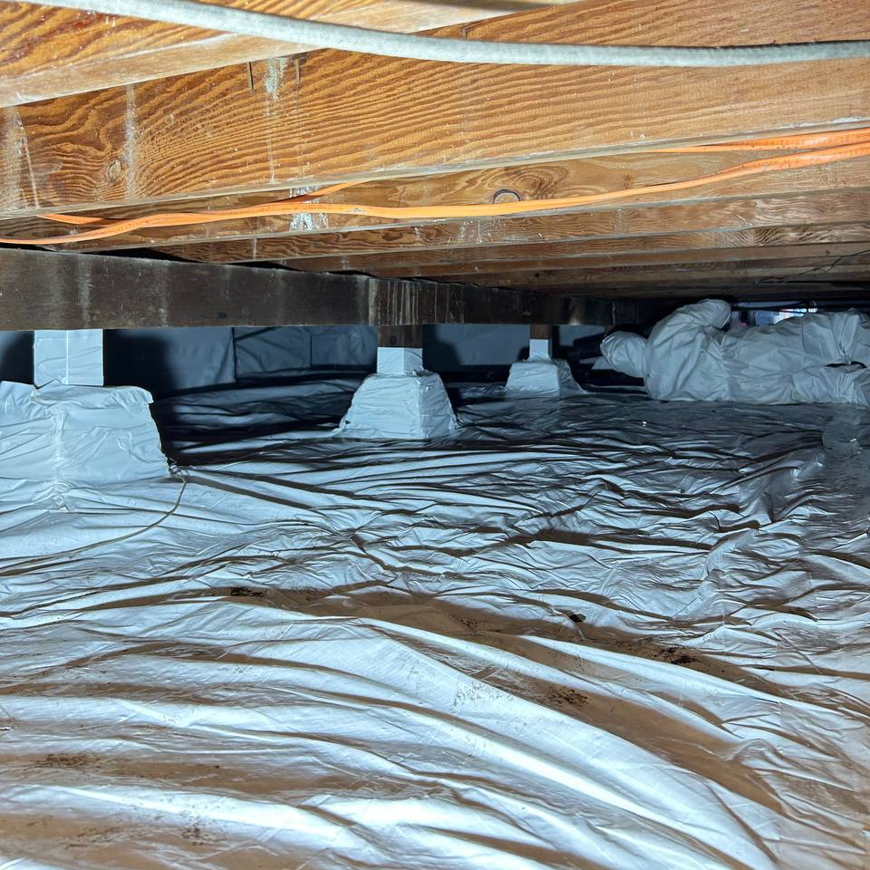 crawlspace decontamination
